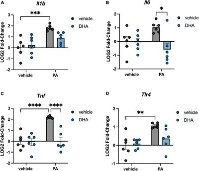 Dietary fatty acids differentially impact phagocytosis, inflammatory gene expression, and mitochondrial respiration in microglial and neuronal cell models